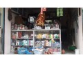 cosmetic-shop-on-urgent-sell-small-3