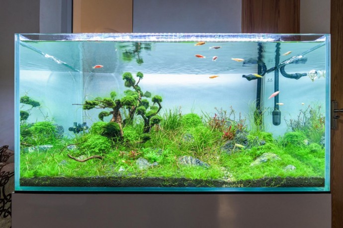 decor-with-an-aquarium-big-0