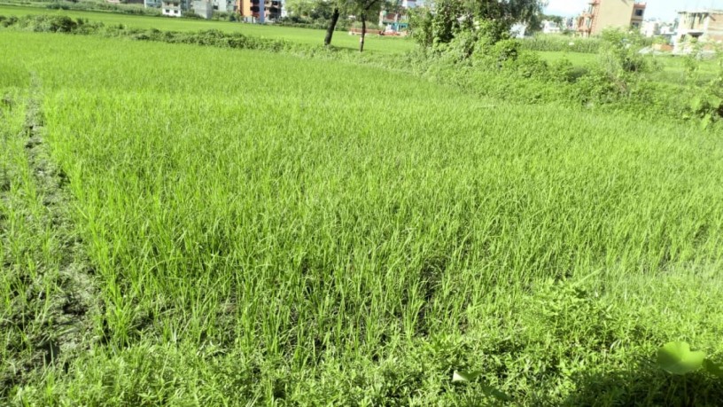 residential-land-for-sale-siru-tar-big-0