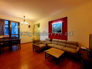 Full furnished apartment on rent at Central Park Apartments, Bishalnagar