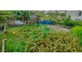 land-sale-in-phutung-thapagau-small-0