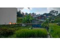 land-sale-in-phutung-thapagau-small-1
