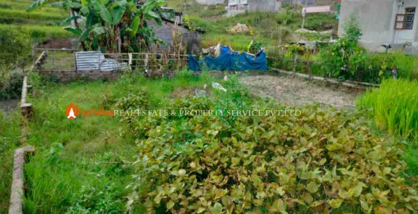 land-sale-in-phutung-thapagau-big-0