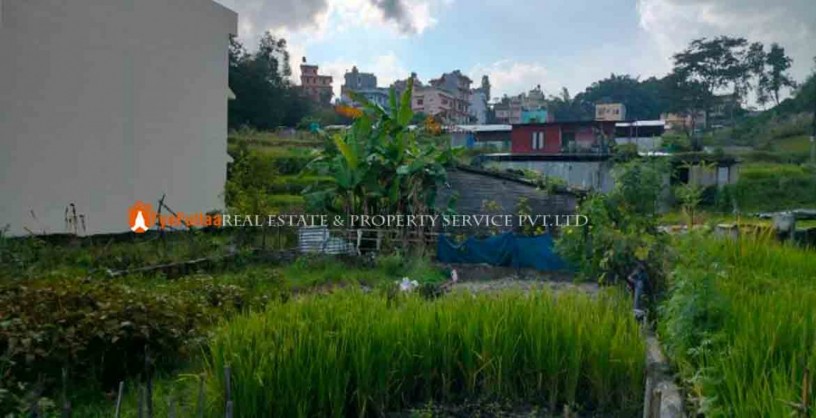 land-sale-in-phutung-thapagau-big-1