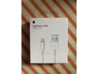 Lightning to USB cable 1 m