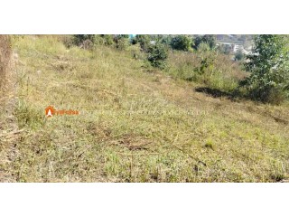Land for sale in Sangla