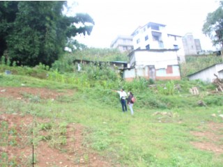 Land for Urgent Sale at Chapagaun, Tahakhel