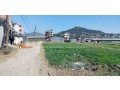 land-for-sale-in-mulpani-small-1
