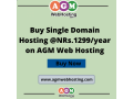 buy-single-domain-hosting-at-nrs1299year-on-agm-web-hosting-small-0