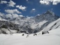 langtang-valley-trekking-in-nepal-small-0