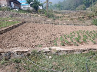 3 Anna Land At Matatirtha,Chandragiri