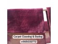 carpet-dyeing-cleaning-service-in-kathmandu-small-0