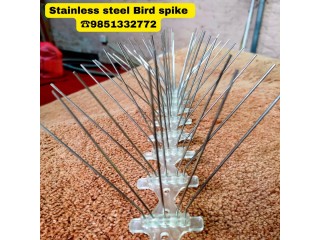 Why choose our bird spikes services to install bird spikes in your building? 9851332772