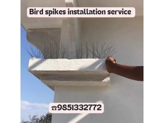 Bird Spikes Installation servicein Kathmandu 9851332772
