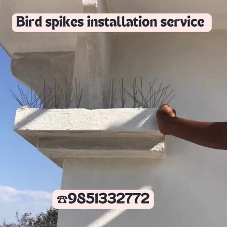 bird-spikes-installation-servicein-kathmandu-9851332772-big-0