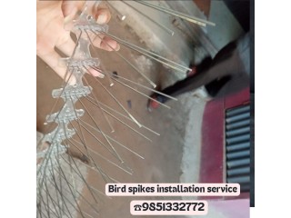 Bird Spikes & pigeon net installation service in Kathmandu, Lalitpur, and Bhaktapur areas at the best price. 9851332772