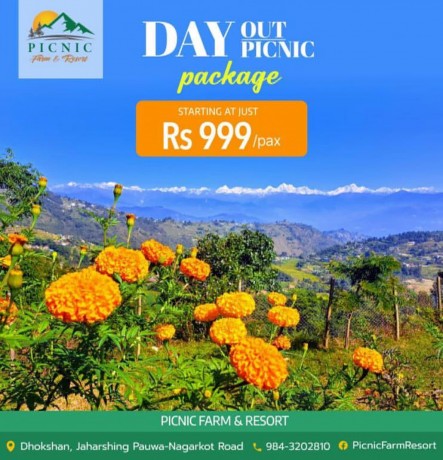 day-outpicnic-just-rs999-person-big-0