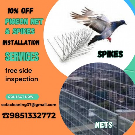 birs-spikes-pigeon-net-installation-service-in-kathmandu-9851332772-big-0