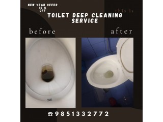 Toilet Deep Cleaning in 10% discout new year offer 9851332772