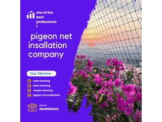 Pigeon net installation services in Kathmandu  Nepal