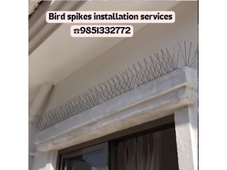 Bird Spikes Installation Service in Kathmandu 9851332772