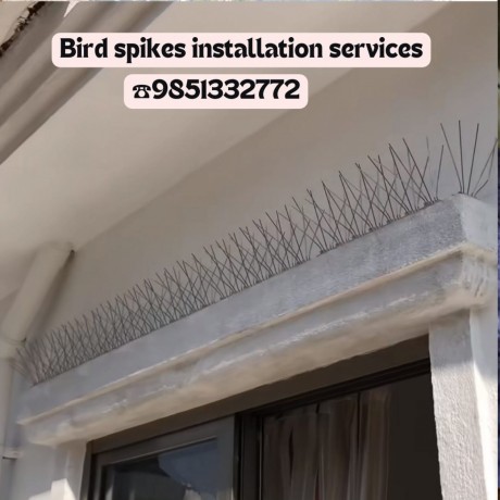 bird-spikes-installation-service-in-kathmandu-9851332772-big-0